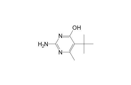 2-Amino-4-hydroxy-5-tert-butyl-6-methylpyrimidine