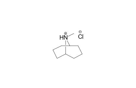 9-Methyl-9-azabicyclo[3.3.1]nonane hydrochloride