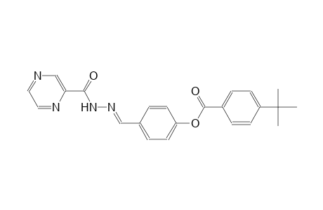 4-{(E)-[2-(2-pyrazinylcarbonyl)hydrazono]methyl}phenyl 4-tert-butylbenzoate
