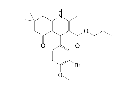 propyl 4-(3-bromo-4-methoxyphenyl)-2,7,7-trimethyl-5-oxo-1,4,5,6,7,8-hexahydro-3-quinolinecarboxylate