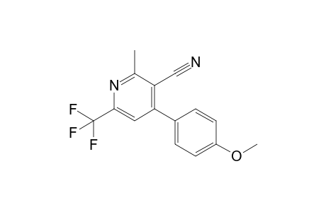 4-(4-methoxyphenyl)-2-methyl-6-(trifluoromethyl)-3-pyridinecarbonitrile