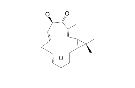 Agroskerin