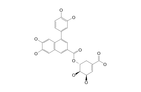 3-CARBOXY-6,7-DIHYDROXY-1-(3',4'-DIHYDROXYPHENYL)-NAPHTHALENE-9,5''-O-SHIKIMIC-ACID-ESTER
