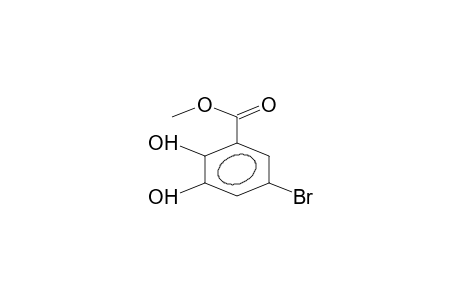 methyl 2,3-dihydroxy-5-bromobenzoate