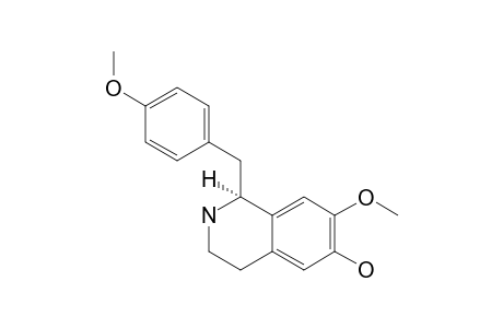 1-(4'-METHOXYBENZYL)-6-HYDROXY-7-METHOXY-1,2,3,4-TETRAHYDROQUINOLINE;(R)-(+)-NOR-ROEFRACTINE