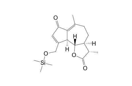 Jacquinelin, tms