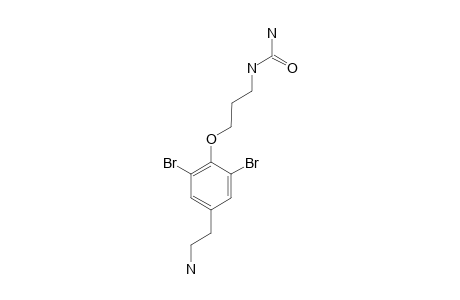 CERATININE-C;1-[3-[4-(2-AMINOETHYL)-2,6-DIBROMOPHENOXY]-PROPYL]-UREA