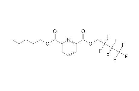 2,6-Pyridinedicarboxylic acid, 2,2,3,3,4,4,4-heptafluorobutyl pentyl ester