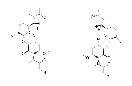 6'-N-ACETYL-ISTAMYCIN