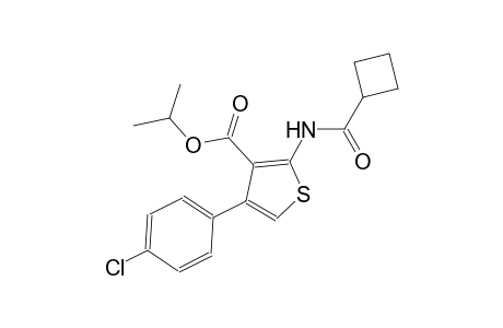 isopropyl 4-(4-chlorophenyl)-2-[(cyclobutylcarbonyl)amino]-3-thiophenecarboxylate