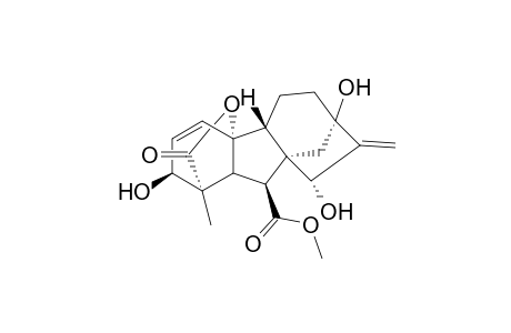 4a,1-(Epoxymethano)-7,9a-methanobenz[a]azulene, gibb-3-ene-1,10-dicarboxylic acid deriv.