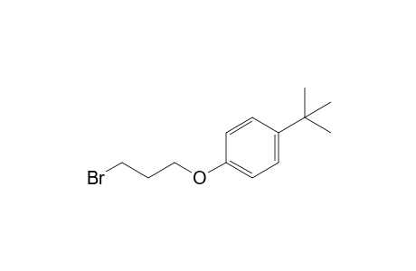 Benzene, 1-(3-bromopropoxy)-4-(1,1-dimethylethyl)-