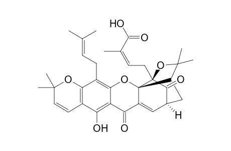 Gambogic acid