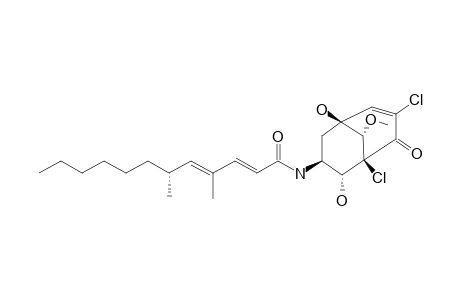 GYMNASTATIN_Q