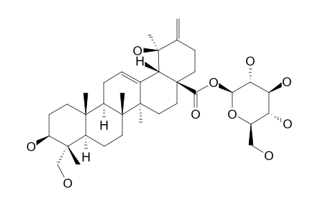 OBLONGANOSIDE-E;3-BETA,19-ALPHA,23-TRIHYDROXY-URS-12,20(30)-DIEN-28-OIC-ACID-28-BETA-D-GLUCOPYRANOSYLESTER