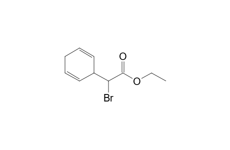 Ethyl 2-Bromo-2-(cyclohexa-2,5-dienyl)acetate
