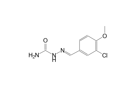 3-chloro-4-methoxybenzaldehyde semicarbazone