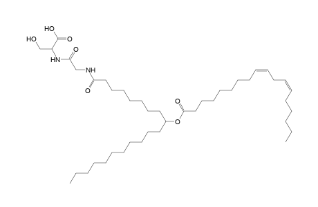 NAGlySer 18:2/20:0