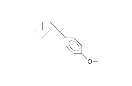 2-P-Anisyl-2-norbornyl cation