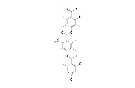 THIELAVIN-M;4-[4'-(2'',4''-DIHYDROXY-6''-METHYLBENZOYLOXY)-3',5',6'-TRIMETHYL-2'-METHOXYBENZOYLOXY]-2-HYDROXY-3,5,6-TRIMETHYLBENZOIC-ACID
