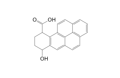 7-hydroxy-7,8,9,10-tetrahydrobenzo[a]pyrene-10-carboxylic acid