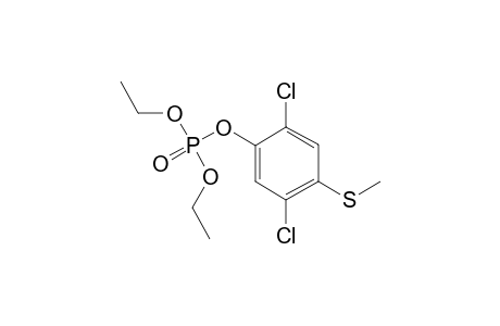 (2,5-dichloro-4-methylsulfanyl-phenyl) diethyl phosphate