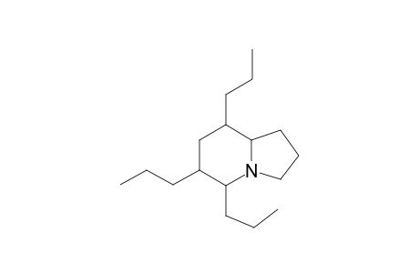5,6,8-Tripropyl-indolizidine