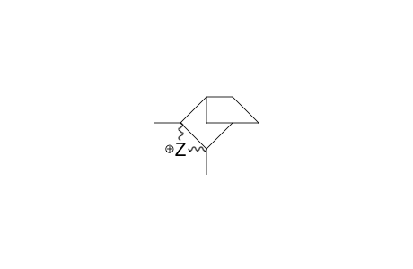 2,3-Dimethyl-2-norbornyl cation
