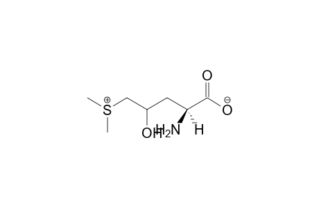 5-(Dimethylsulfonium)-4-hydroxy-2-aminovalerate - Internal salt