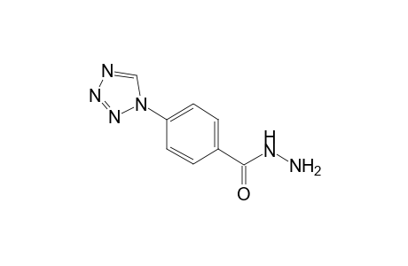 4-(1H-1,2,3,4-tetrazol-1-yl)benzohydrazide