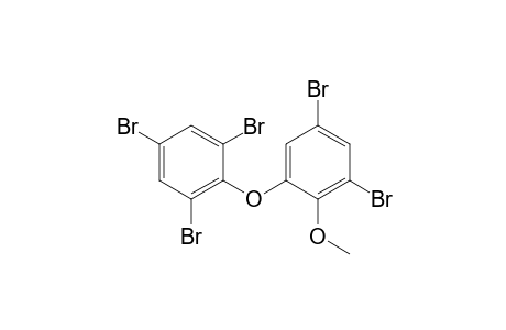 1,3,5-tribromo-2-(3,5-dibromo-2-methoxyphenoxy)benzene