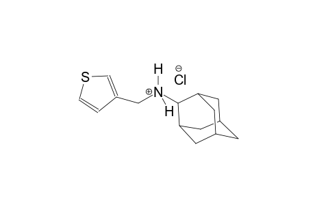 3-thiophenemethanaminium, N-tricyclo[3.3.1.1~3,7~]dec-2-yl-, chloride