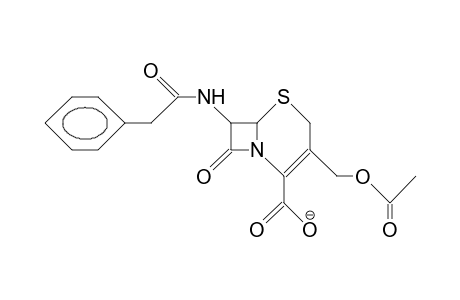 7-(Phenyl-acetamino)-cephalosporanic anion