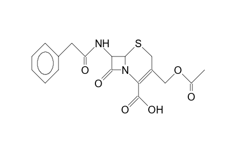 Cephalosporin-G