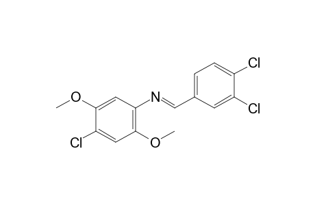 4-chloro-N-(3,4-dichlorobenzylidene)-2,5-dimethoxyaniline