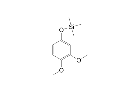 Phenol <3,4-dimethoxy->, mono-TMS