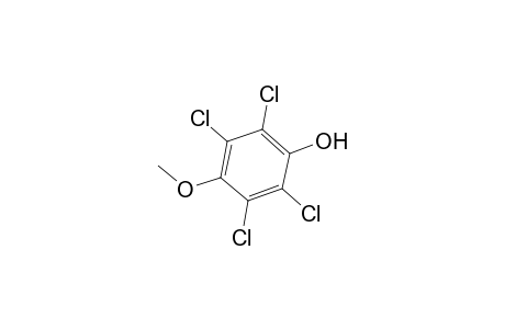 Phenol, 2,3,5,6-tetrachloro-4-methoxy-