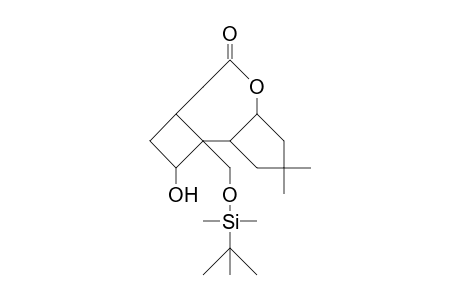 1-([T-Butyl-dimethyl]-silyloxy-methyl)-12-hydroxy-4,4-dimethyl-7-oxa-tricyclo(7.2.0.0/2,6/)dodecan-8-one