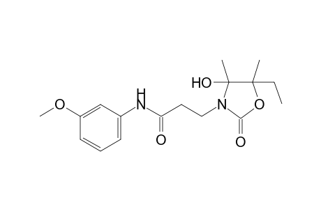 3-(5-Ethyl-4-hydroxy-4,5-dimethyl-2-oxo-1,3-oxazolidin-3-yl)-N-(3-methoxyphenyl)propanamide