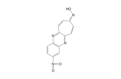 2-NITRO-8H-CYCLOHEPTA[b]QUINOXALIN-8-ONE, OXIME