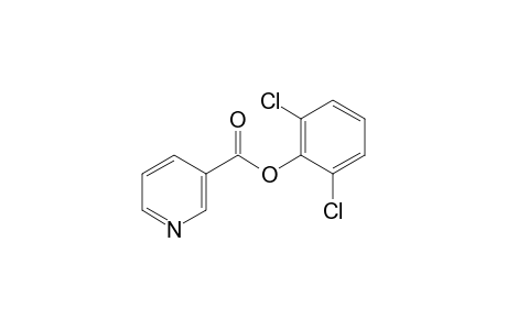 Nicotinic acid, 2,6-dichlorophenyl ester