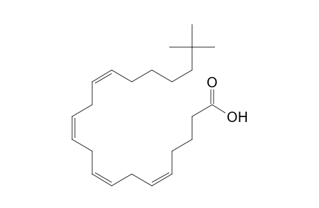 (5Z,8Z,11Z,14Z)-20,20-Dimethylhenicosa-5,8,11,14-tetraenoic acid