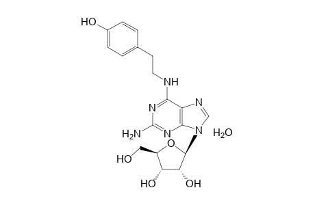 p-{2-{[2-amino-9-(beta-D-ribofuranosyl)-9H-purin-6-yl]amino}ethyl}-phenol, monohydrate