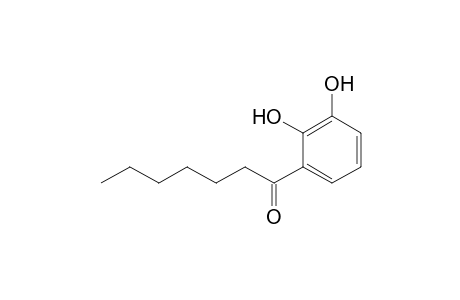 (2,3-Dihydroxyphenyl) Hexyl Ketone