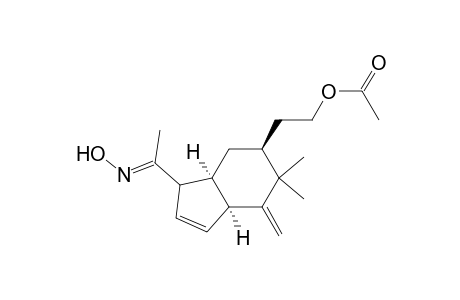 Ethanone, 1-[5-[2-(acetyloxy)ethyl]-3a,4,5,6,7,7a-hexahydro-6,6-dimethyl-7-methylene-1H-inden-3-yl]-, 1-oxime, [3aR-(3a.alpha.,5.alpha.,7a.beta.)]-