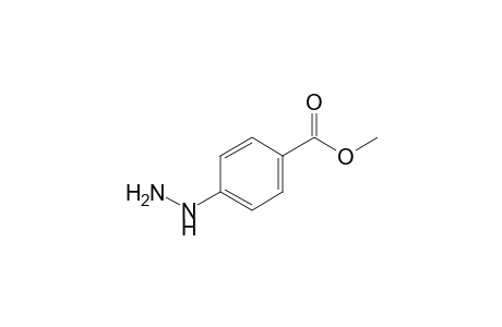 4-Hydrazinobenzoic acid methyl ester