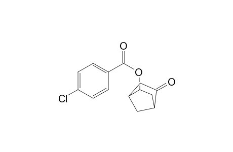 endo-2-[(p-Chlorobenzoyl)oxy]norbornan-5-one