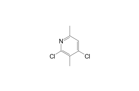 2,4-Dichloro-3,6-dimethylpyridine