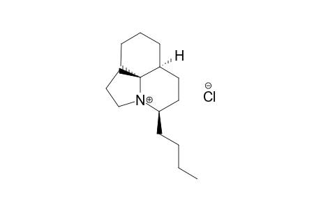 LEPADIFORMINE_C