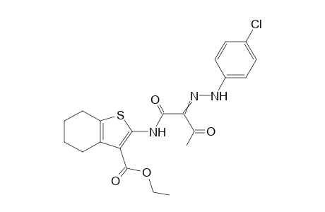 N-(3-Ethoxycarbonyl-4,5,6,7-tetrahydrobenzo[b]thien-2-yl)-2-(4-chlorophenyl hydrazono)- 3-oxobutanamide